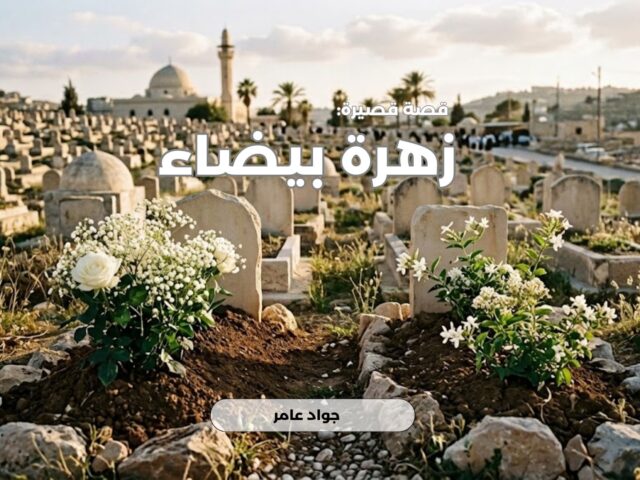 زهرة بيضاء