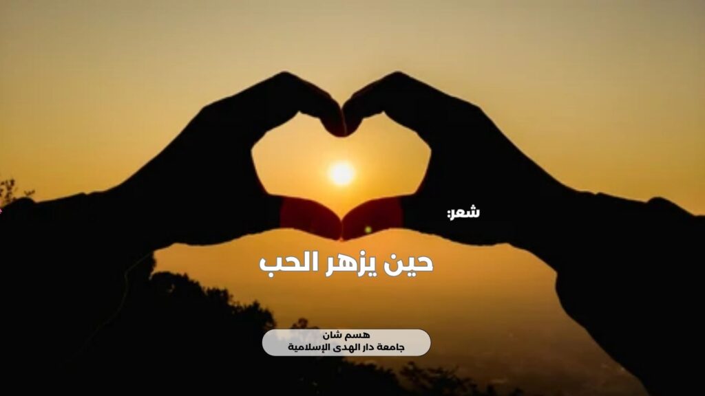 حين يزهر الحب