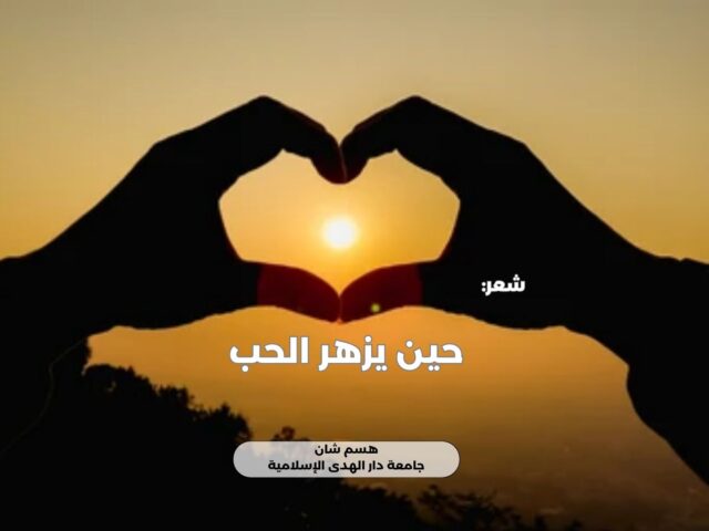 حين يزهر الحب